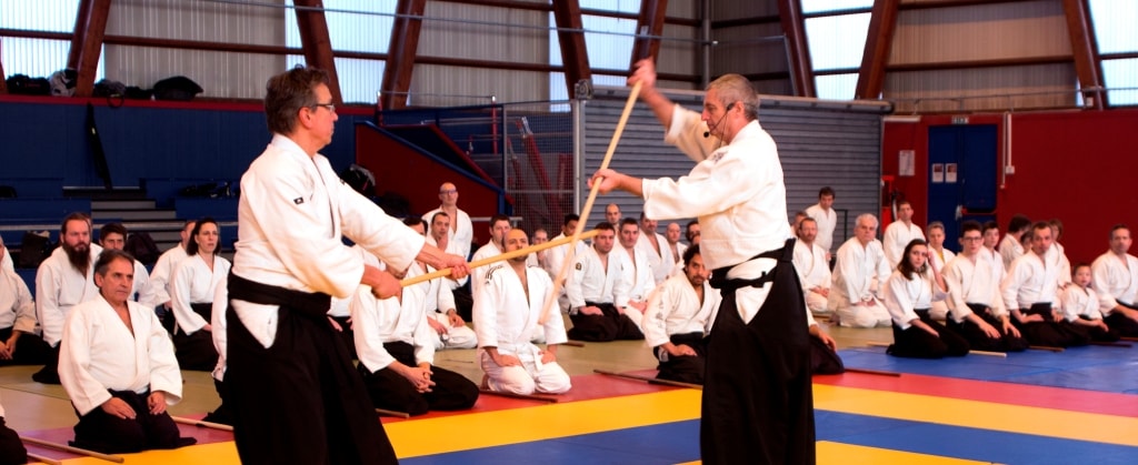 Art martial japonais avec D Chauvet élève d'Alain Peyrache shihan
